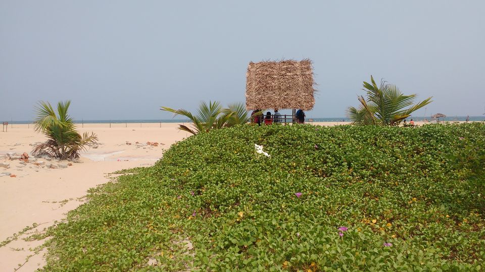 Photo of Pondicherry: Mini-Goa for North Indians by Nancy Johri
