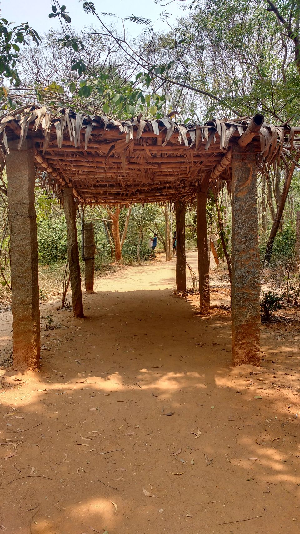Photo of Pondicherry: Mini-Goa for North Indians by Nancy Johri