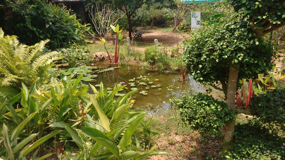 Photo of Pondicherry: Mini-Goa for North Indians by Nancy Johri
