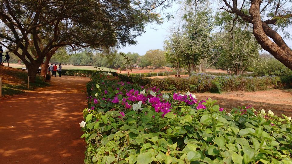 Photo of Pondicherry: Mini-Goa for North Indians by Nancy Johri