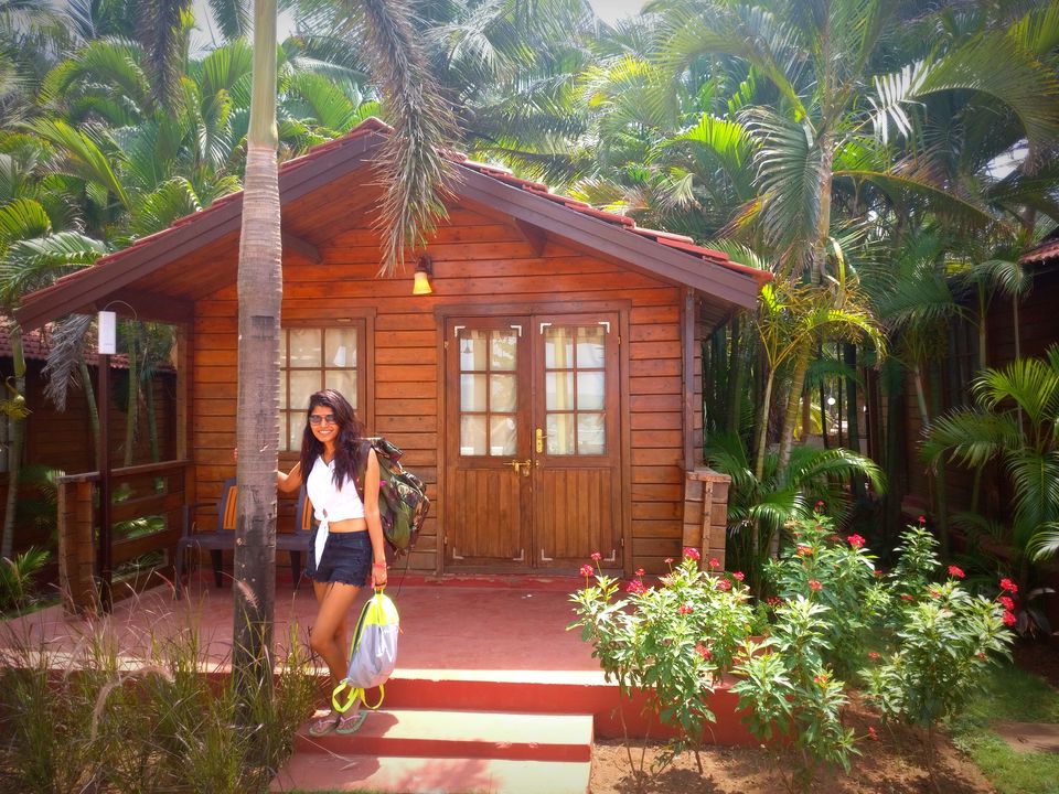 Photo of 6 reasons why you should travel to Goa during off-season 11/22 by Nancy Johri