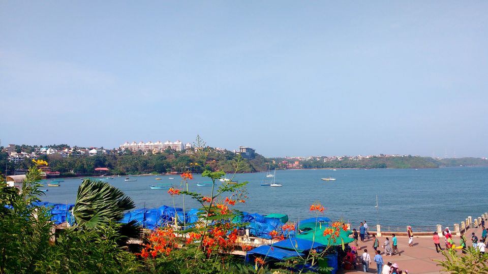 Photo of 6 reasons why you should travel to Goa during off-season 20/22 by Nancy Johri