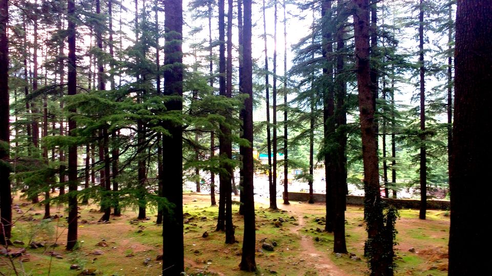 Photo of Old Manali: Himalayan Hippie Village that proves “Old is Gold” by Nancy Johri