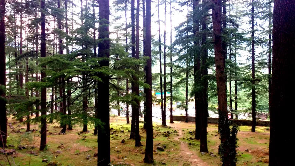 Photo of Old Manali: Himalayan Hippie Village that proves “Old is Gold” by Nancy Johri
