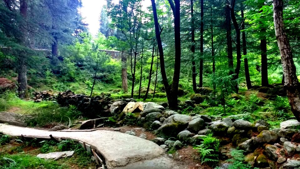 Photo of Old Manali: Himalayan Hippie Village that proves “Old is Gold” by Nancy Johri