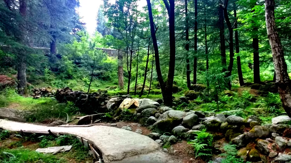Photo of Old Manali: Himalayan Hippie Village that proves “Old is Gold” by Nancy Johri