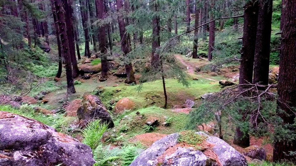 Photo of Old Manali: Himalayan Hippie Village that proves “Old is Gold” by Nancy Johri