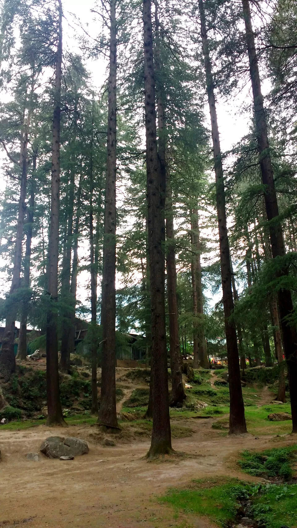 Photo of Old Manali: Himalayan Hippie Village that proves “Old is Gold” by Nancy Johri