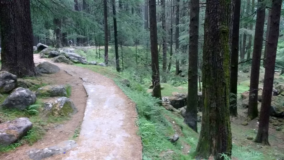 Photo of Old Manali: Himalayan Hippie Village that proves “Old is Gold” by Nancy Johri