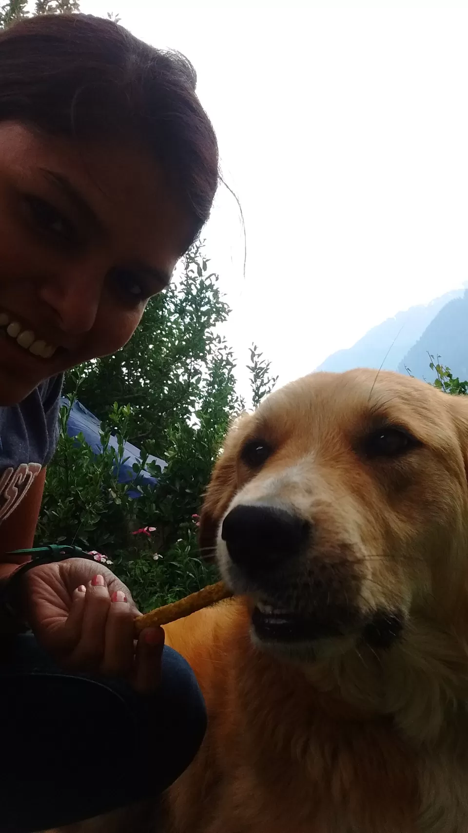 Photo of Old Manali: Himalayan Hippie Village that proves “Old is Gold” by Nancy Johri