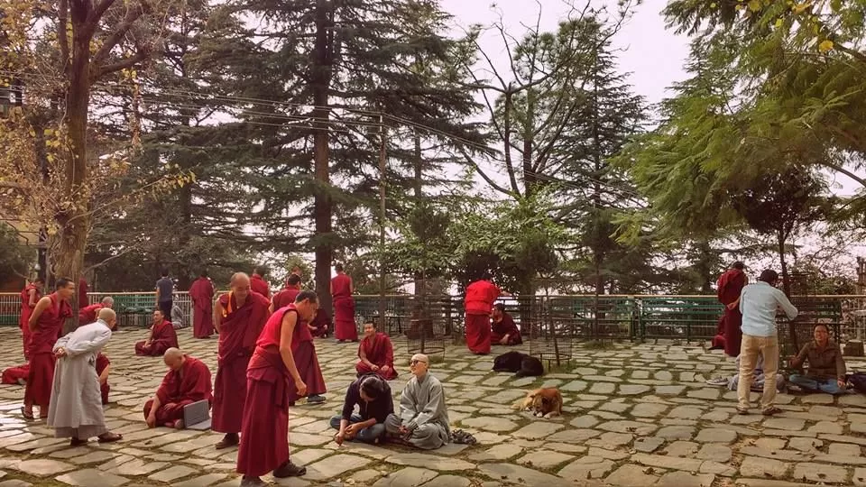 Photo of McLeod Ganj, Dharamshala, Himachal Pradesh, India by Nancy Johri