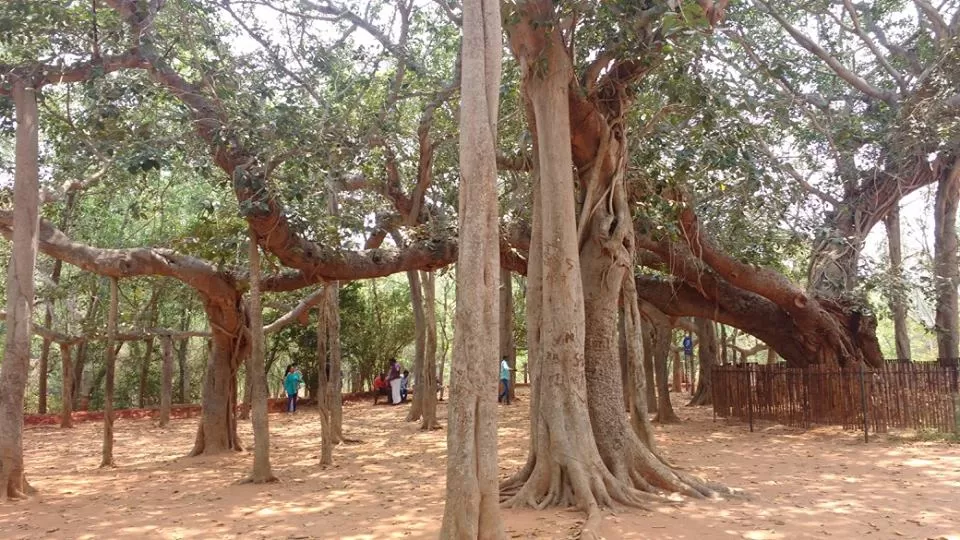 Photo of Auroville, Tamil Nadu, India by Nancy Johri