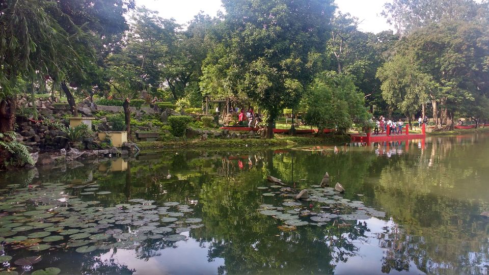 Photo of Philippines Solo Travel Diaries Part 1: Manila (The city that gave me tears and laughter) 24/26 by Nancy Johri