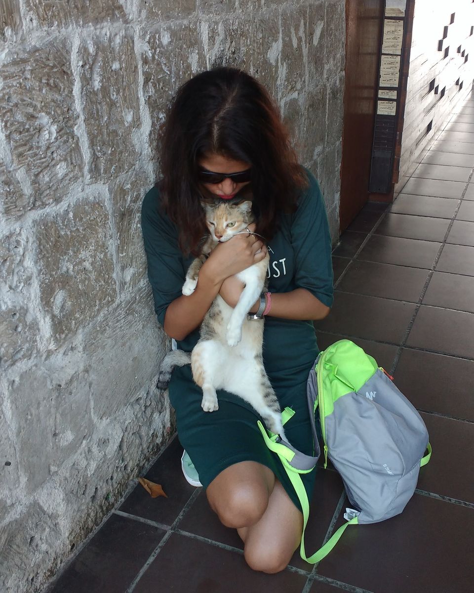 Photo of Philippines Solo Travel Diaries Part 2: Cebu (Heaven for culture, architecture and adventure lovers) by Nancy Johri