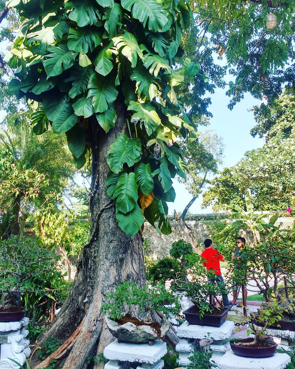Photo of Philippines Solo Travel Diaries Part 2: Cebu (Heaven for culture, architecture and adventure lovers) by Nancy Johri