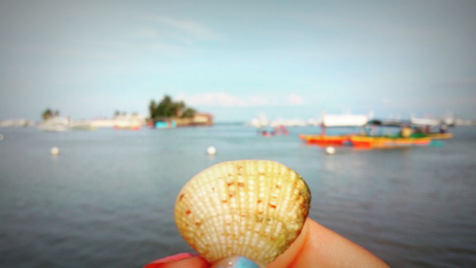 Photo of Philippines Travel Diaries Part 3:Mactan (where I was tricked into quitting my job)#lifechangingtrip by Nancy Johri