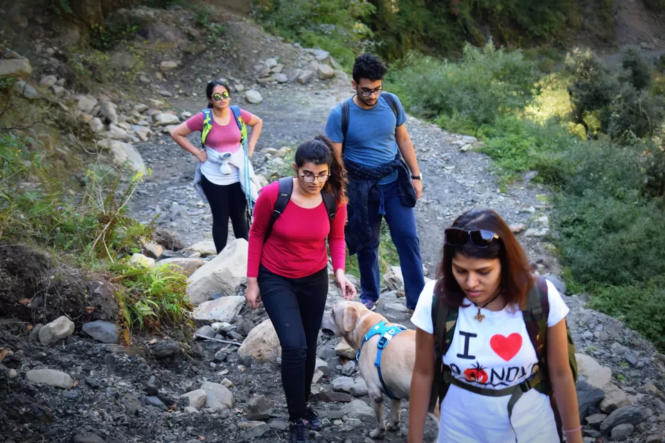 Photo of Prashar Lake Trek: Why go alone when you can hike with your dog? by Nancy Johri