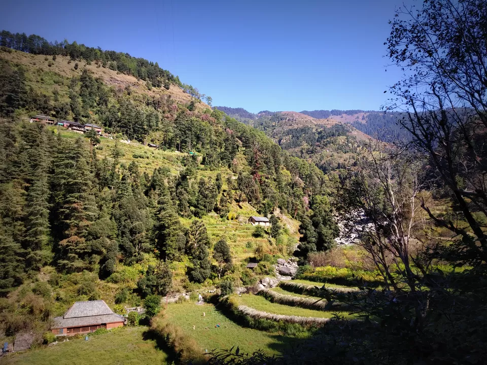 Photo of Prashar Lake Trek: Why go alone when you can hike with your dog? by Nancy Johri