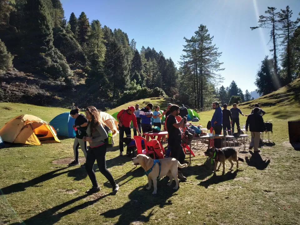 Photo of Prashar Lake Trek: Why go alone when you can hike with your dog? by Nancy Johri