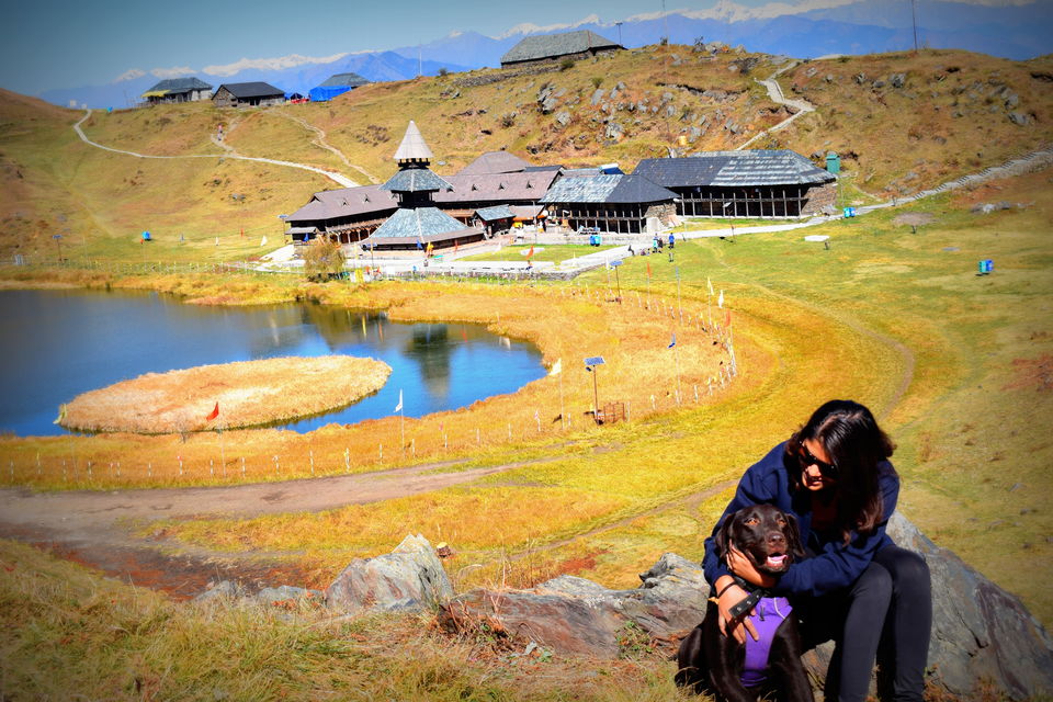Photo of Prashar Lake Trek: Why go alone when you can hike with your dog? 1/6 by Nancy Johri