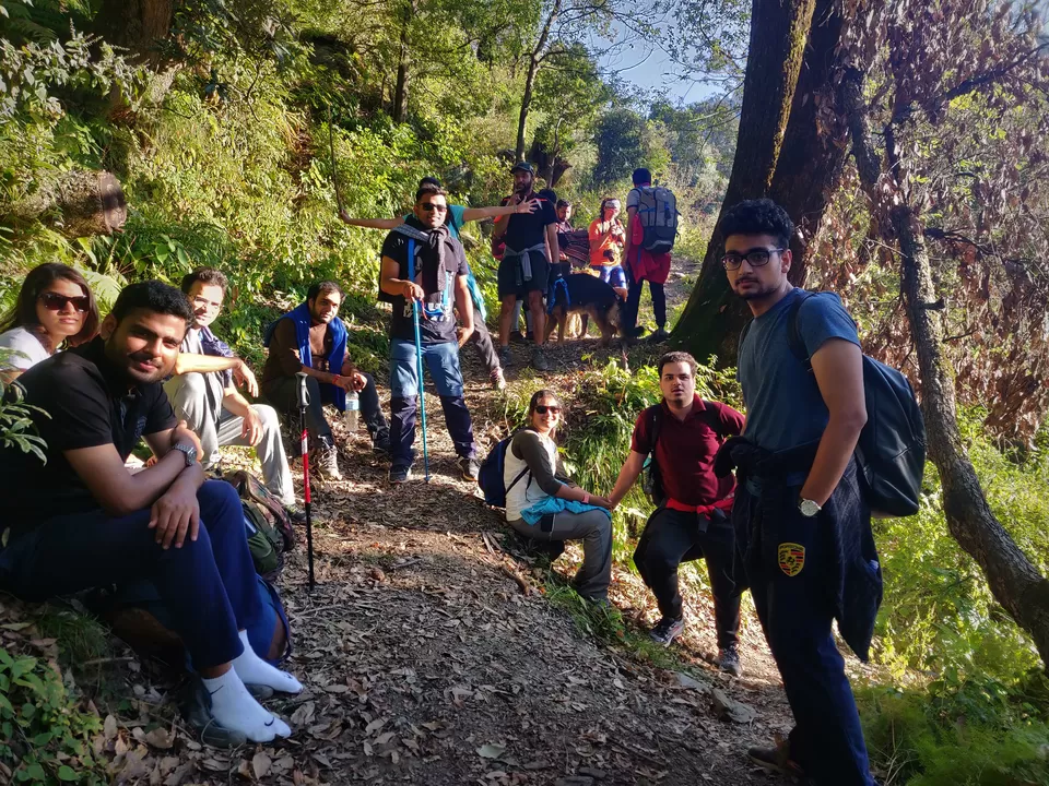 Photo of Prashar Lake Trek: Why go alone when you can hike with your dog? by Nancy Johri