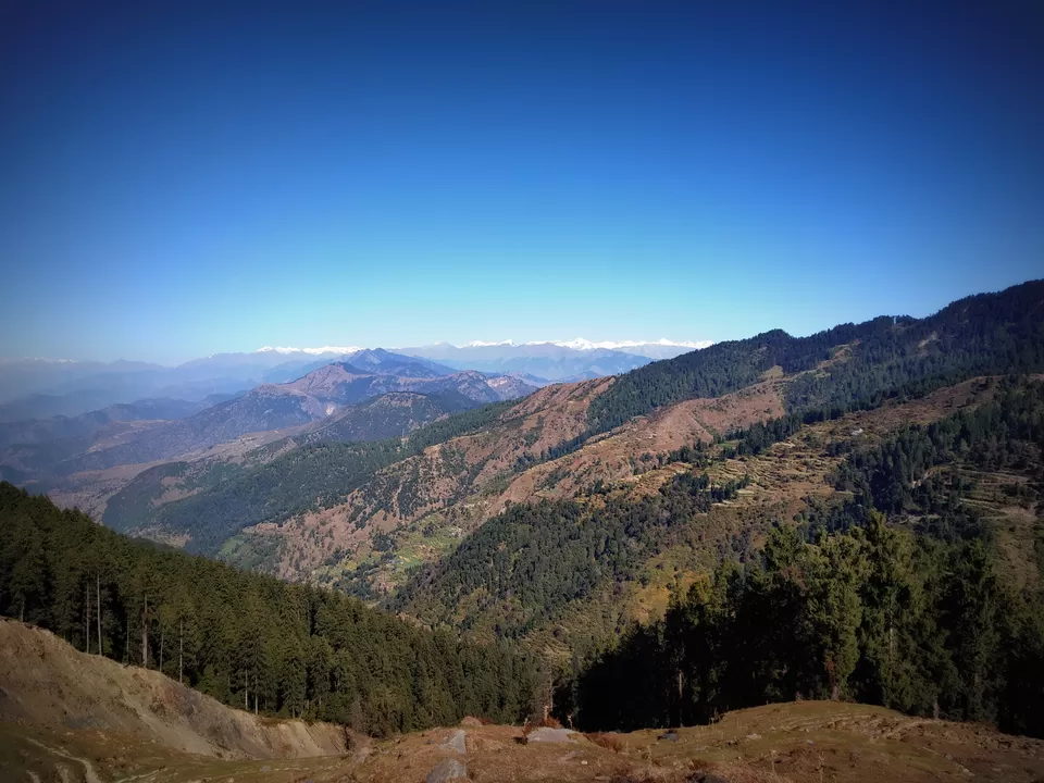Photo of Prashar Lake Trek: Why go alone when you can hike with your dog? by Nancy Johri