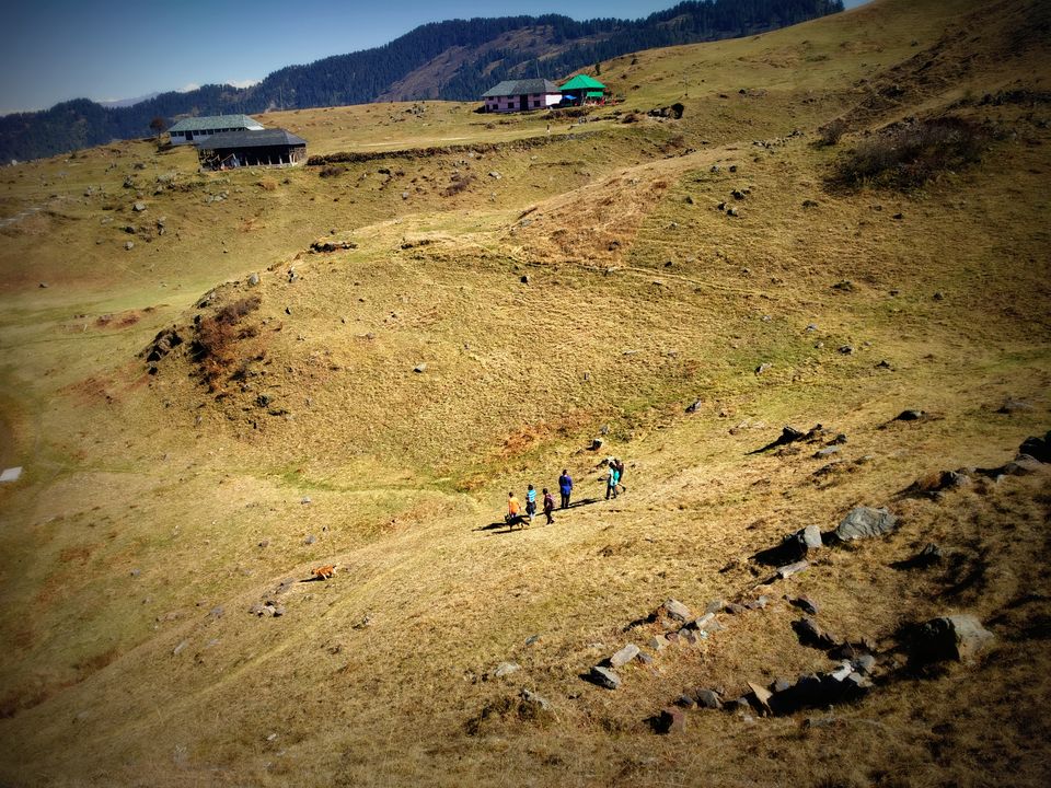 Photo of Prashar Lake Trek: Why go alone when you can hike with your dog? by Nancy Johri