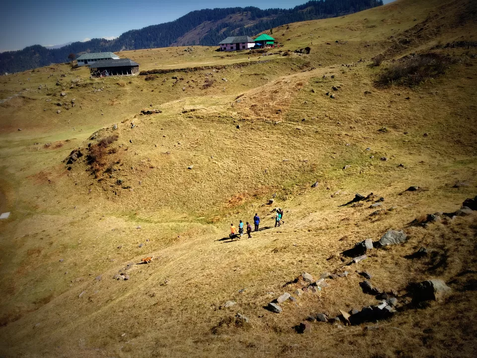 Photo of Prashar Lake Trek: Why go alone when you can hike with your dog? by Nancy Johri