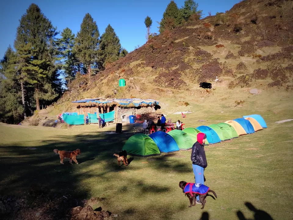 Photo of Prashar Lake Trek: Why go alone when you can hike with your dog? by Nancy Johri