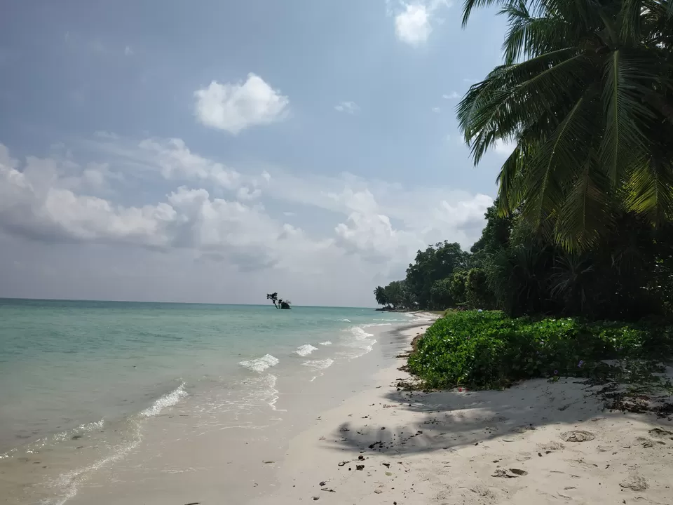 Photo of These 2 jobless girls had the best vacation in Havelock Island. And that too on a budget!!! by Nancy Johri