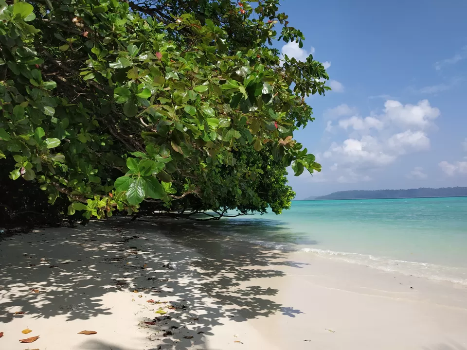 Photo of These 2 jobless girls had the best vacation in Havelock Island. And that too on a budget!!! by Nancy Johri