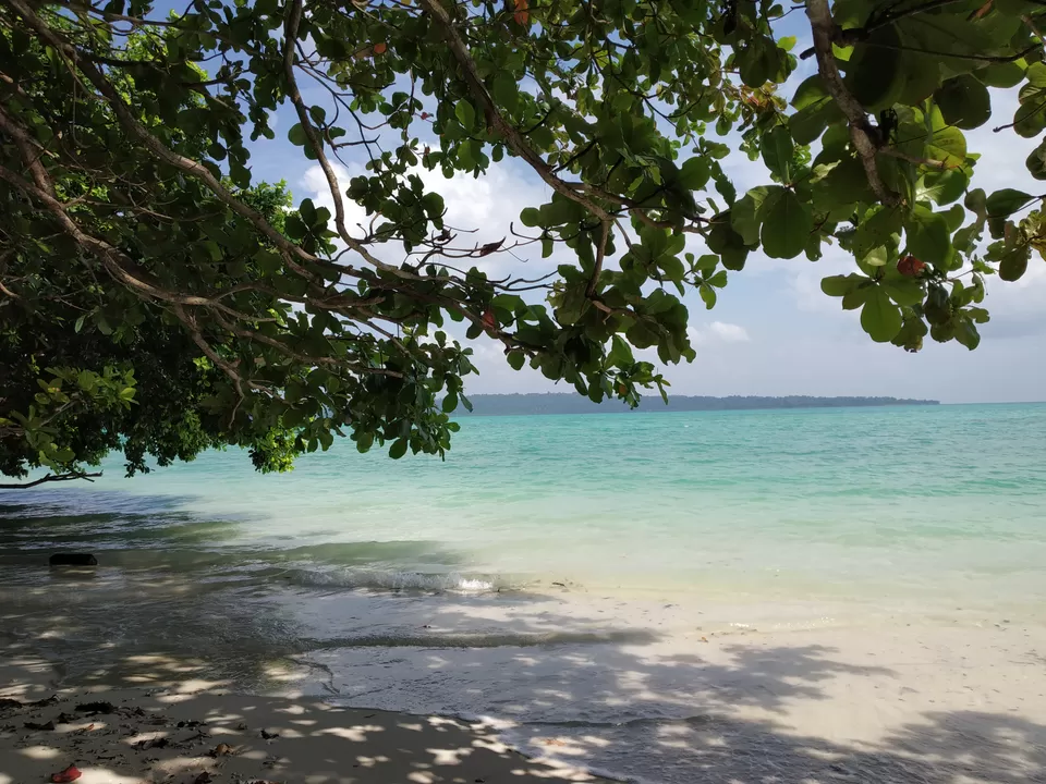 Photo of These 2 jobless girls had the best vacation in Havelock Island. And that too on a budget!!! by Nancy Johri