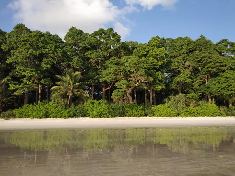 Photo of These 2 jobless girls had the best vacation in Havelock Island. And that too on a budget!!! by Nancy Johri