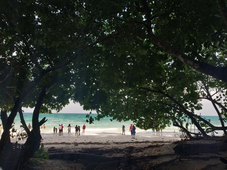 Photo of These 2 jobless girls had the best vacation in Havelock Island. And that too on a budget!!! by Nancy Johri