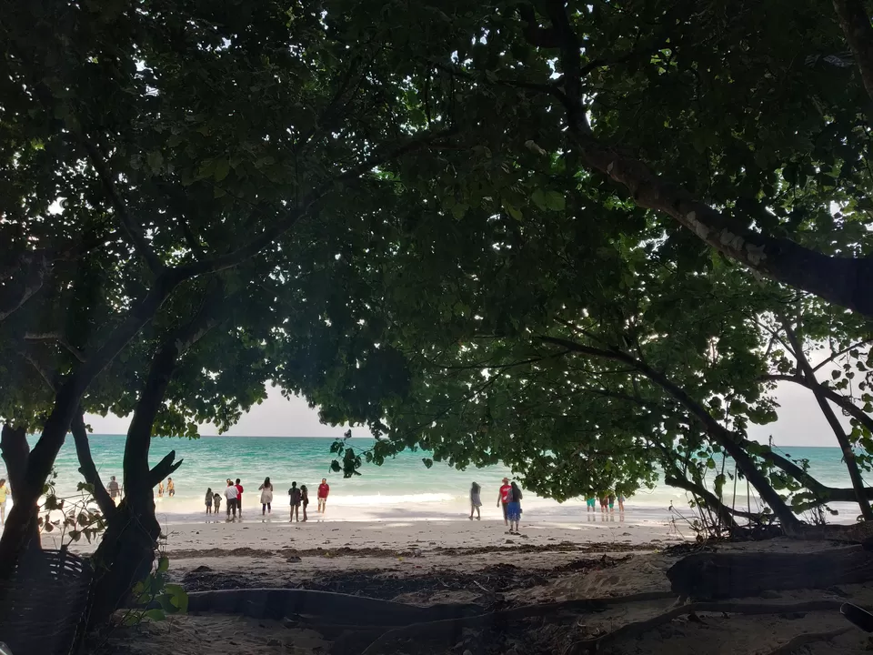 Photo of These 2 jobless girls had the best vacation in Havelock Island. And that too on a budget!!! by Nancy Johri