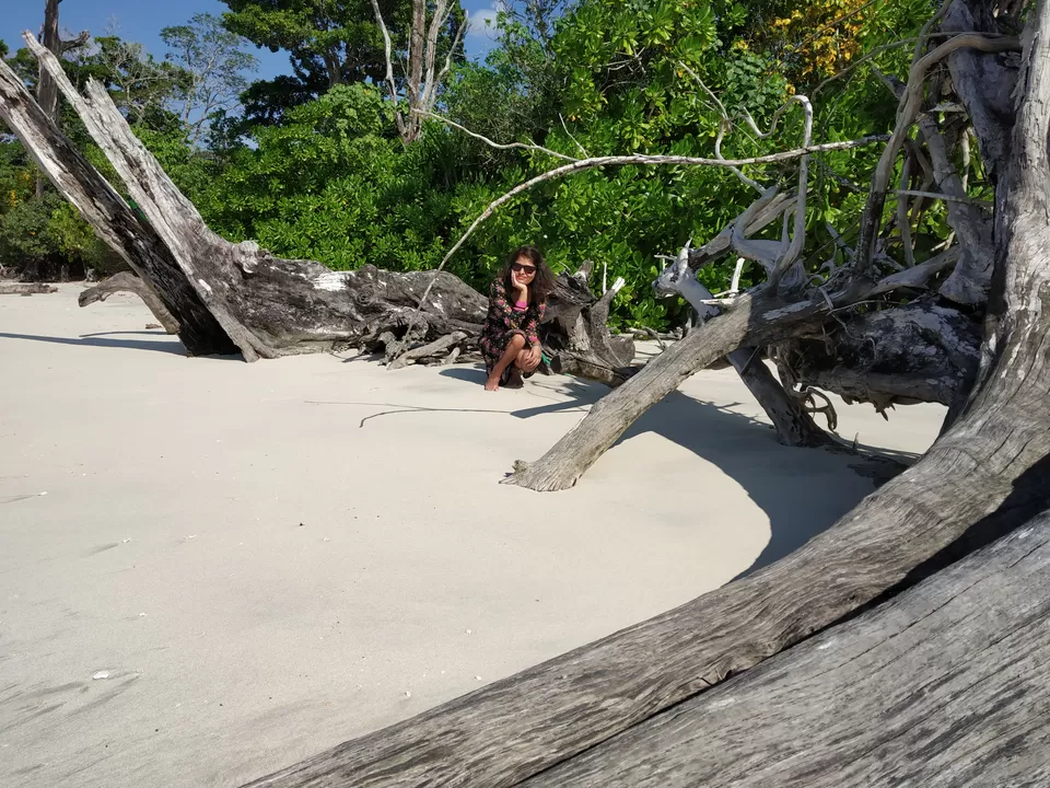 Photo of These 2 jobless girls had the best vacation in Havelock Island. And that too on a budget!!! by Nancy Johri