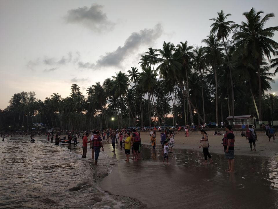 Photo of Don’t forget to include this rare, hidden gem in your travel plans when in Port Blair!!! 1/2 by Nancy Johri