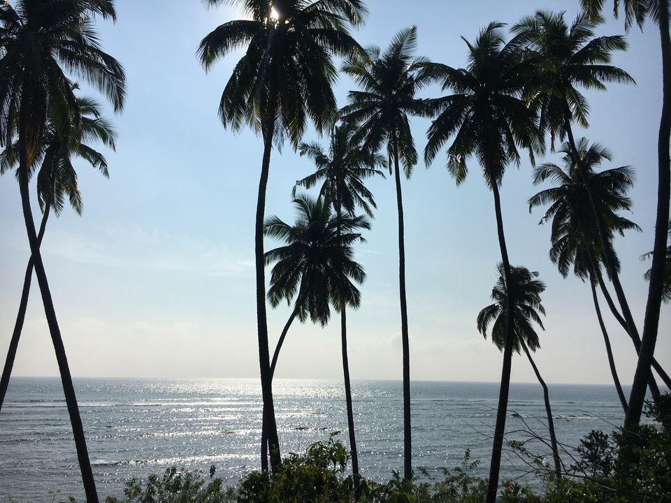 Photo of Don’t forget to include this rare, hidden gem in your travel plans when in Port Blair!!! 2/2 by Nancy Johri