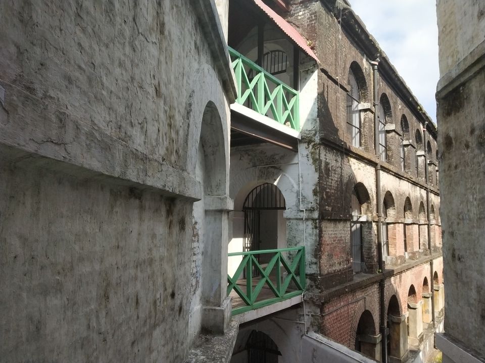 Photo of Don’t forget to include this rare, hidden gem in your travel plans when in Port Blair!!! by Nancy Johri