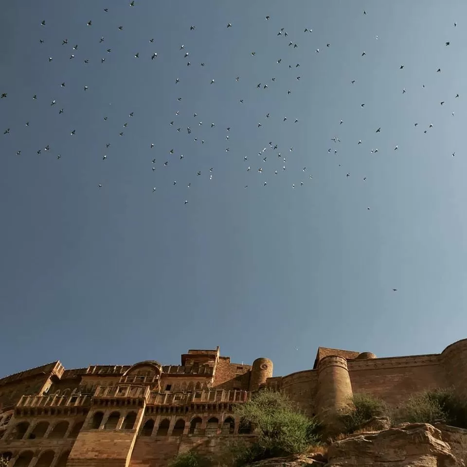 Photo of Mehrangarh Fort, Unnamed Road, Cantt Area, Jodhpur, Rajasthan, India by Nancy Johri