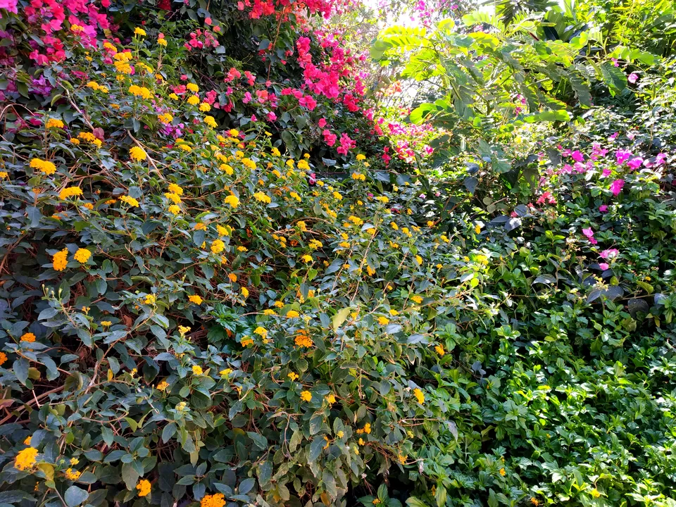 Photo of Travel solo to this Rajasthan city on a shoestring by Nancy Johri