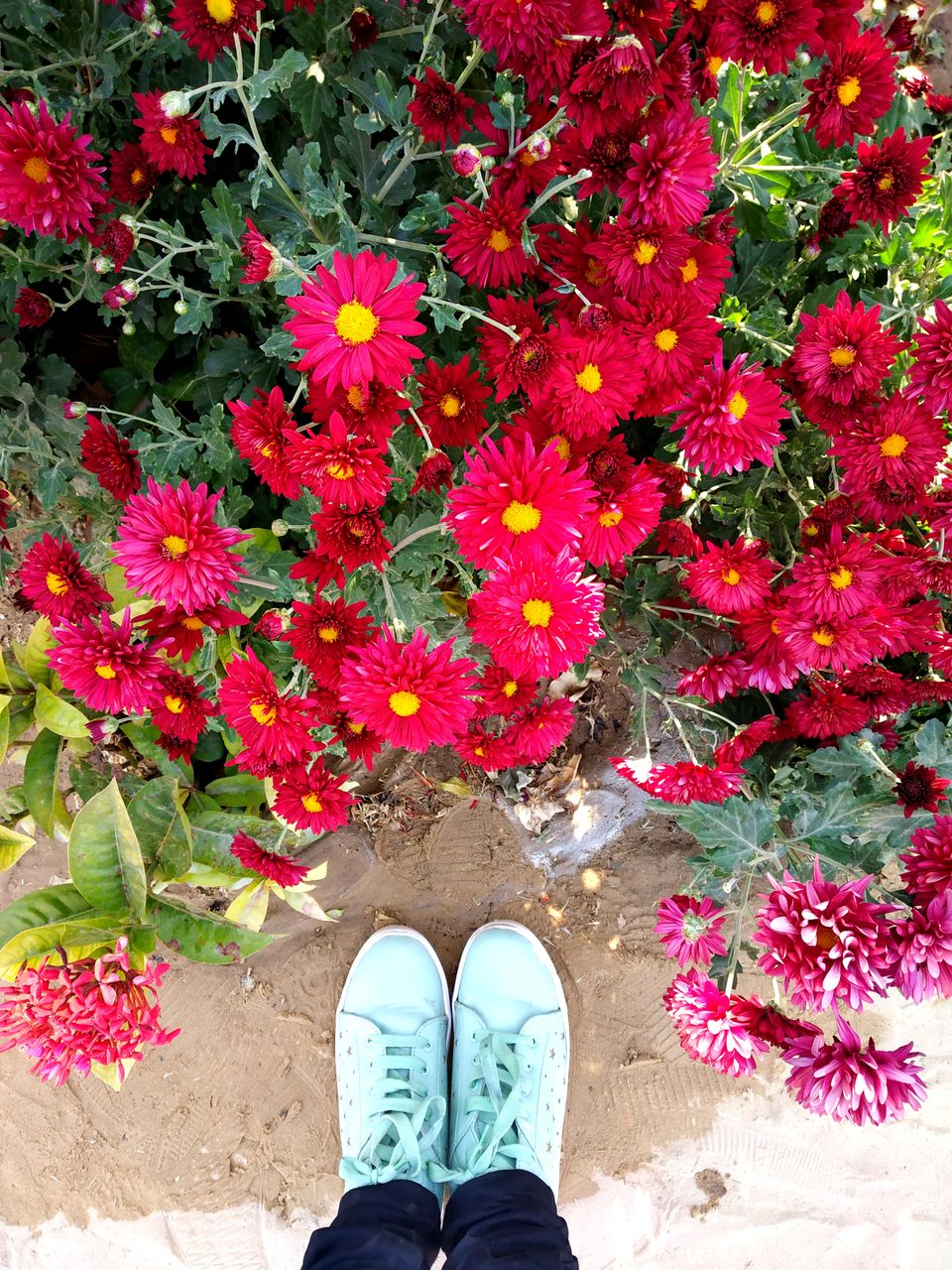 Photo of Travel solo to this Rajasthan city on a shoestring by Nancy Johri