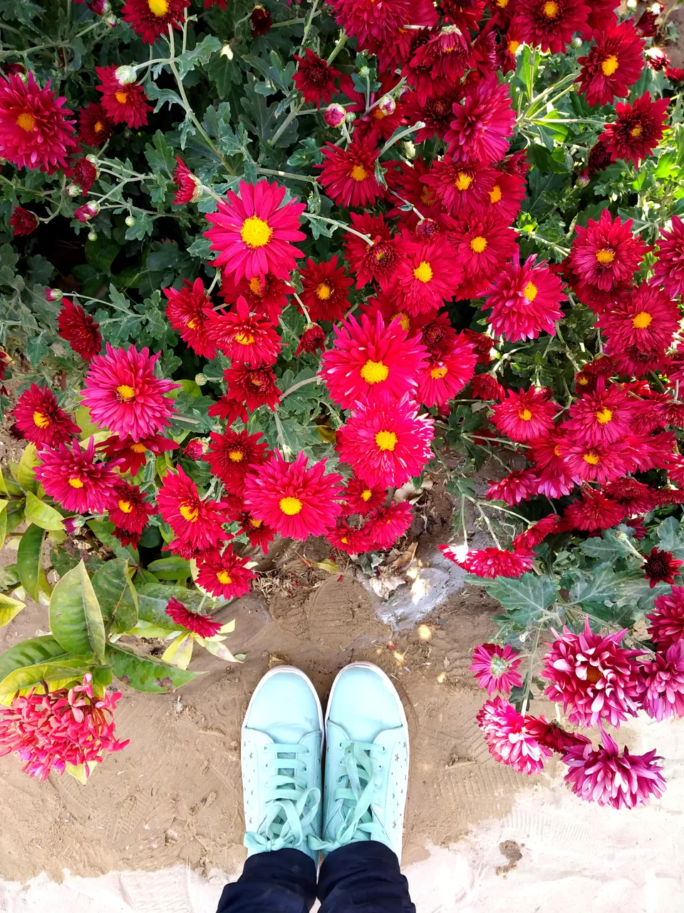 Photo of Travel solo to this Rajasthan city on a shoestring by Nancy Johri