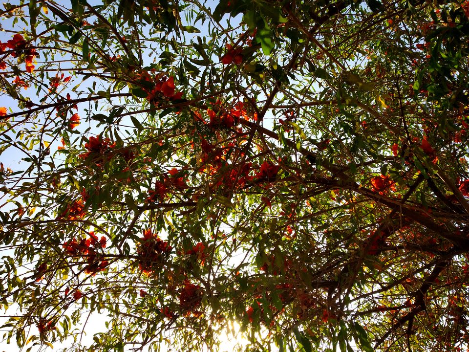 Photo of Travel solo to this Rajasthan city on a shoestring by Nancy Johri