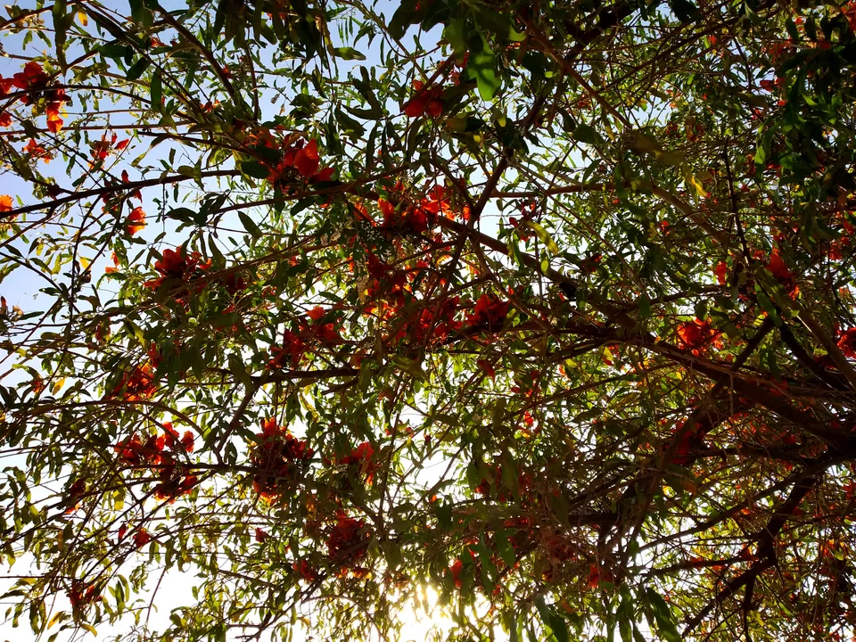 Photo of Travel solo to this Rajasthan city on a shoestring by Nancy Johri