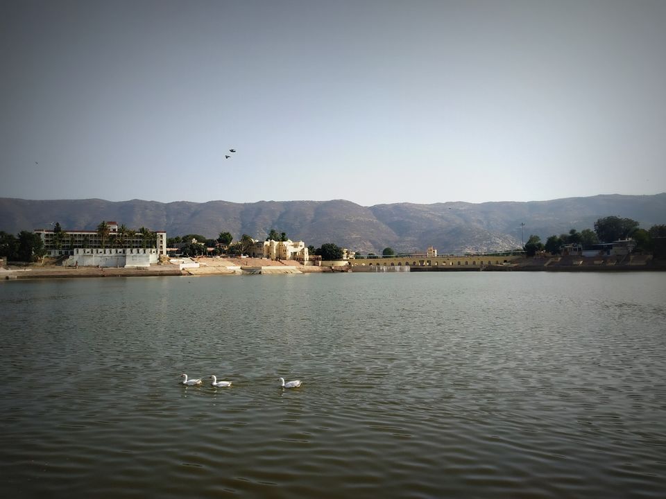 Photo of I travelled to Pushkar on my birthday and got to know its shady secret 1/17 by Nancy Johri