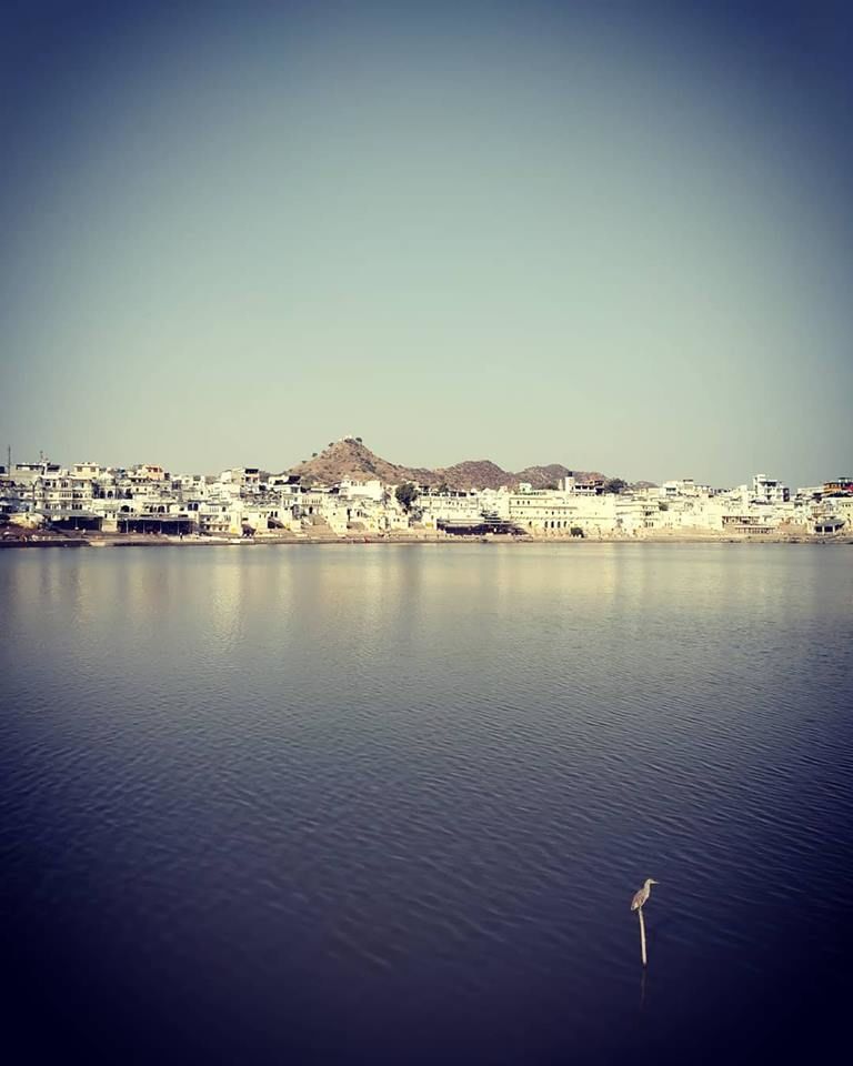 Photo of I travelled to Pushkar on my birthday and got to know its shady secret 2/17 by Nancy Johri
