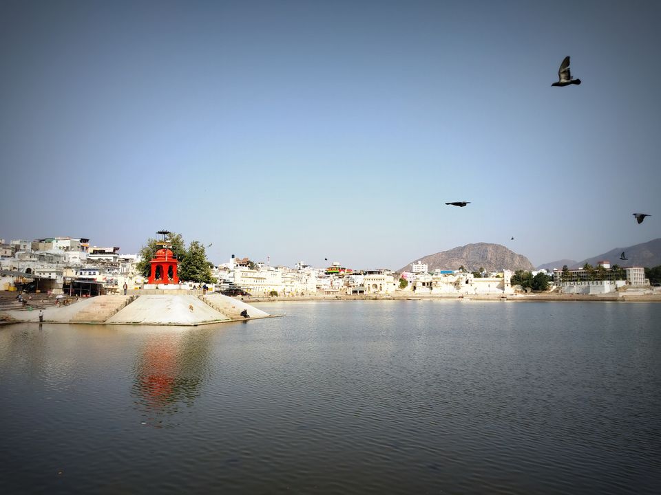 Photo of I travelled to Pushkar on my birthday and got to know its shady secret 10/17 by Nancy Johri