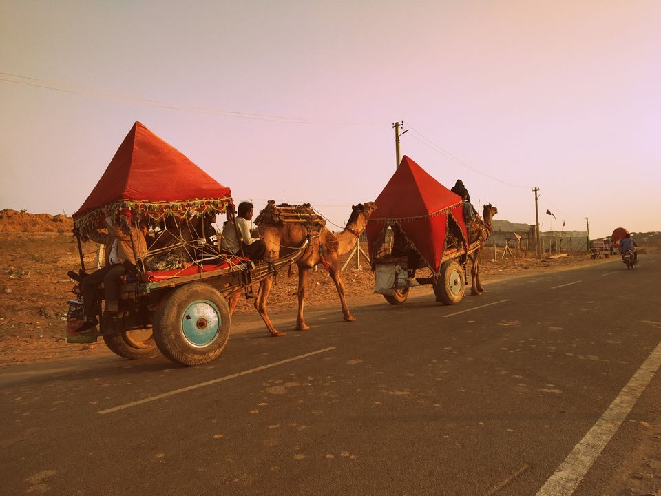 Photo of I travelled to Pushkar on my birthday and got to know its shady secret 17/17 by Nancy Johri
