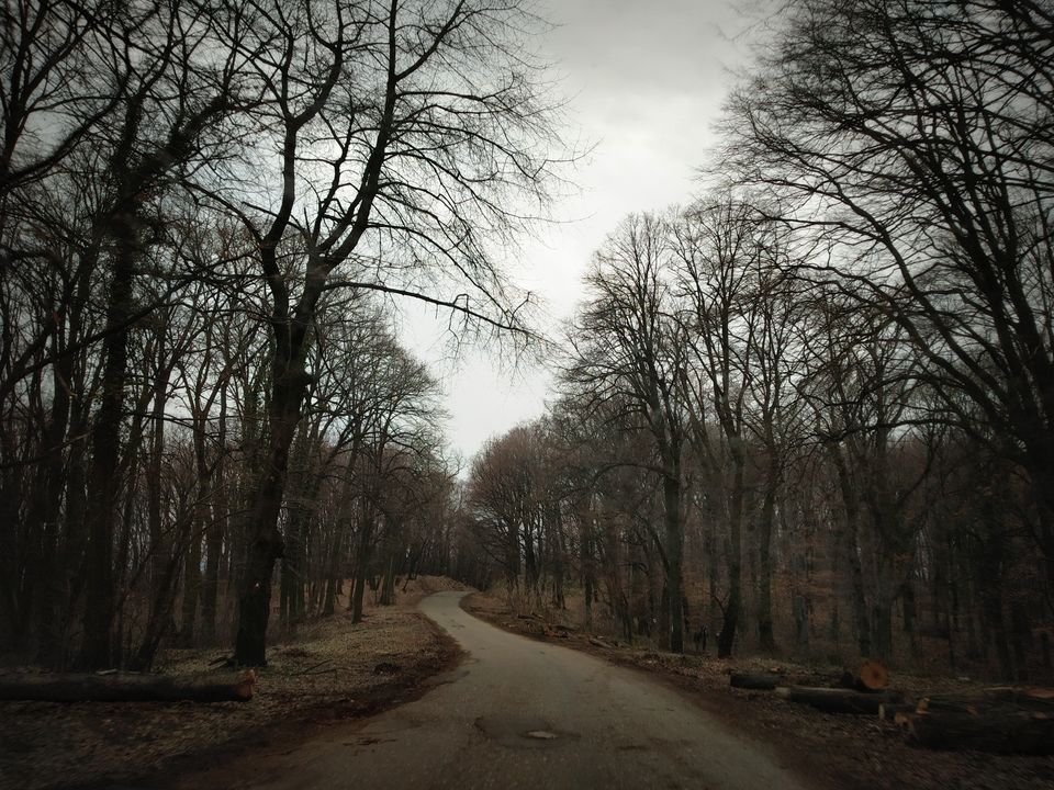 Photo of Serbia Diaries Part 2: This Road Trip is an Ultimate Idea for your Travel Bucket List!! by Nancy Johri